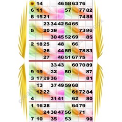 Plaque de 6 cartons de loto plastifié 100 microns pliable neuf (A3) idéal pour les malvoyants.