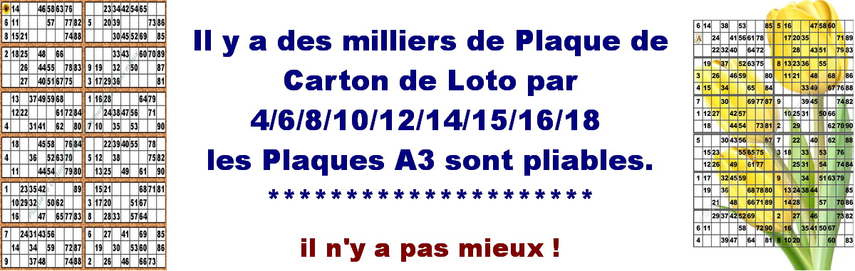 Plaque de 12 cartons de loto plastifié pliable neuf (A3) Il n'y a pas mieux !